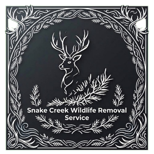 Snake Creek Wildlife Removal Service